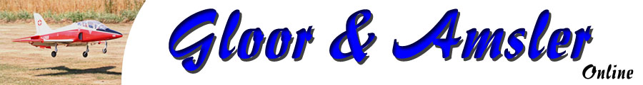 Logo gloor amsler