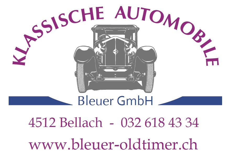 bleuer GmbH logo kleinbuchstabenv2
